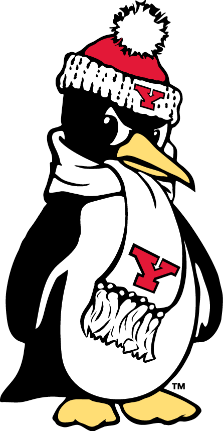Youngstown State Penguins 1993-Pres Alternate Logo v7 diy fabric transfer